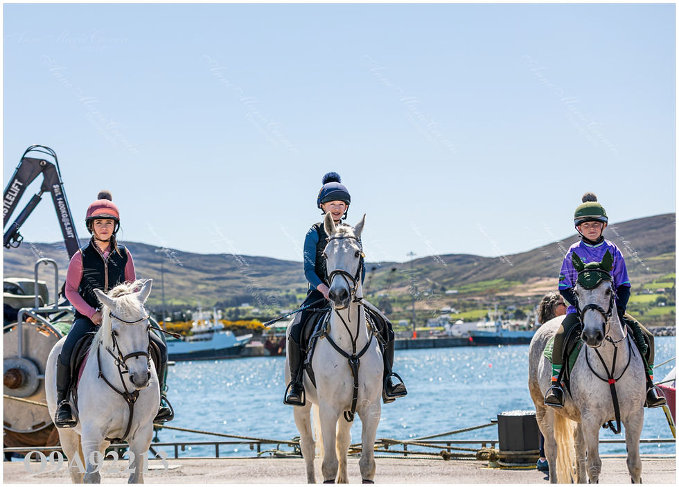 Beara Cheval held in Castletownbere