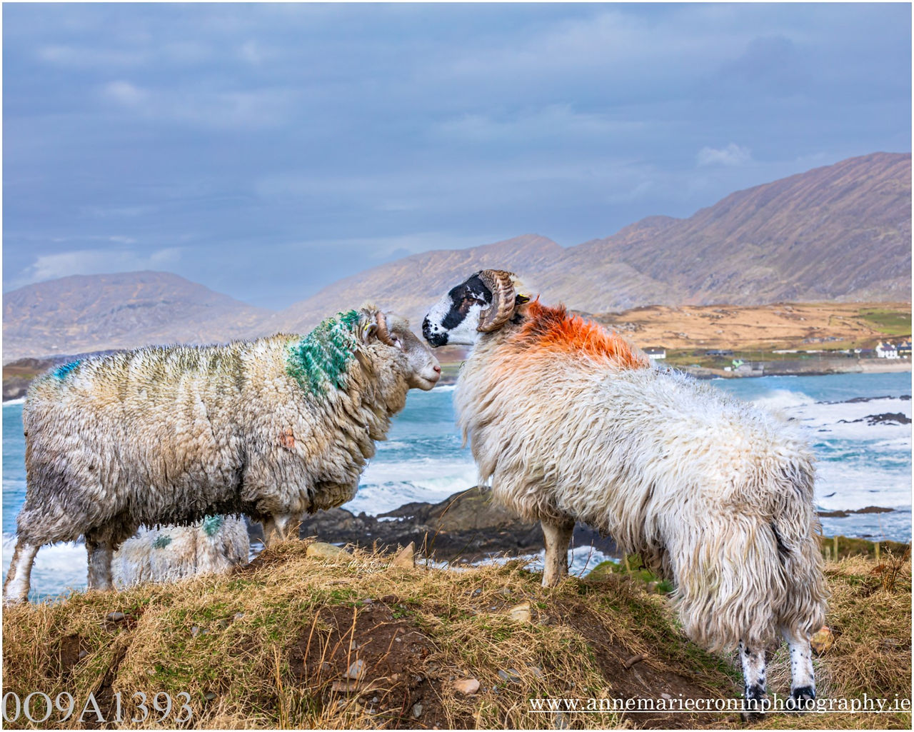 Allihies, Beara, West Cork on the Wild Atlantic Way 