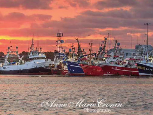 Best of luck to the fishermen