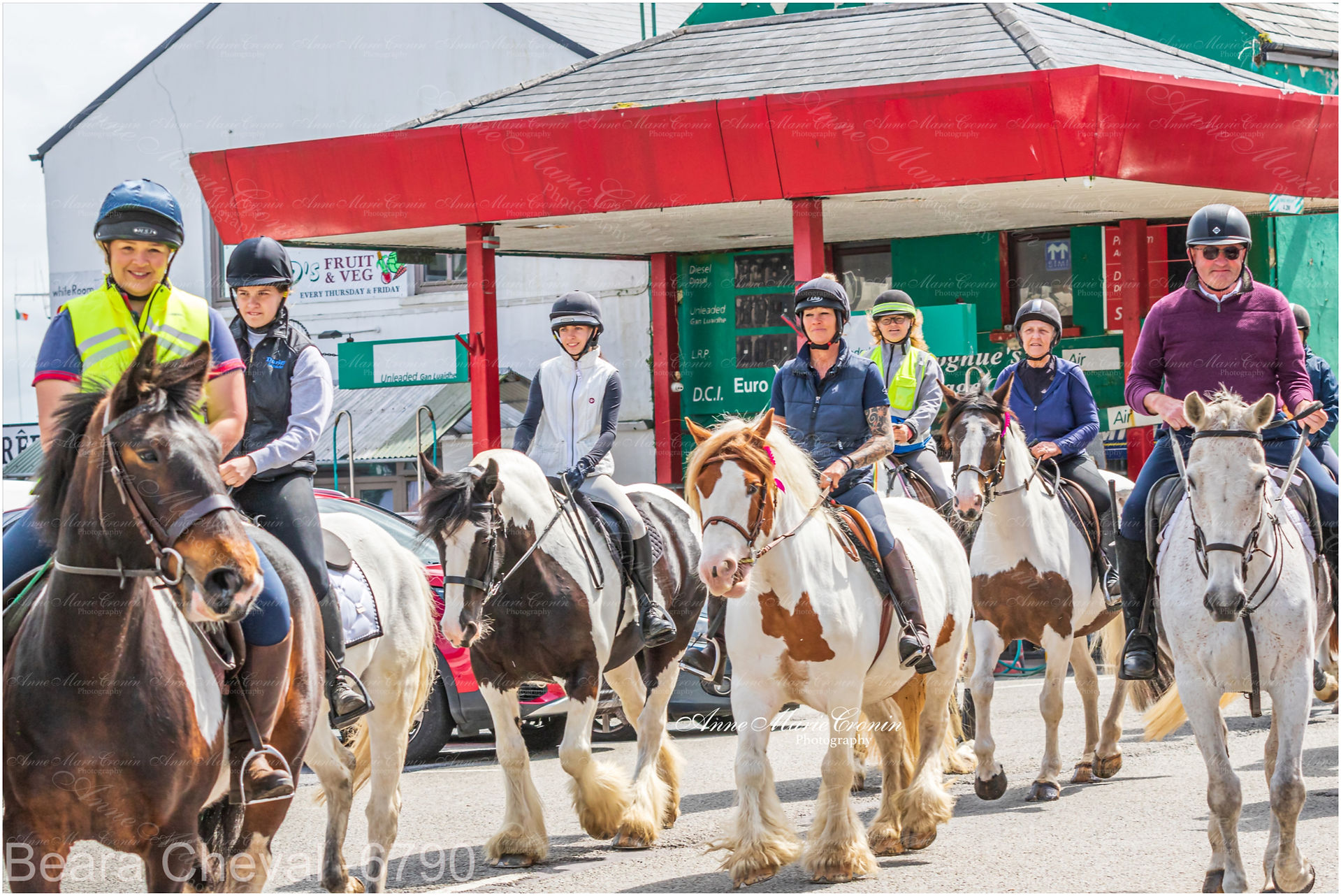Photographs of the Beara Cheval held in Castletownbere, Beara, West Cork 
