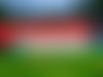 CONGRATULATIONS TO BEARA MINORS on winning the Premier Championship this evening