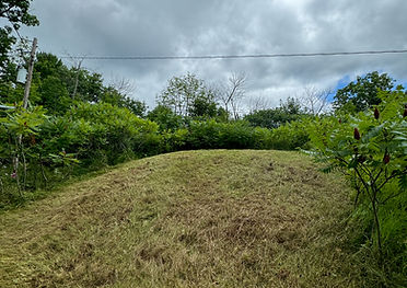 IMG_2394.jpg