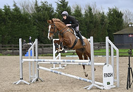 Showjumping a young green horse and winning!