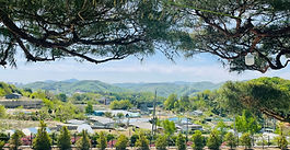 내신에 대한 단상 II