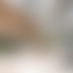 【品川インターシティ】商業エリアが大規模リニューアル