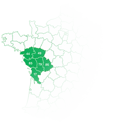 france2.png