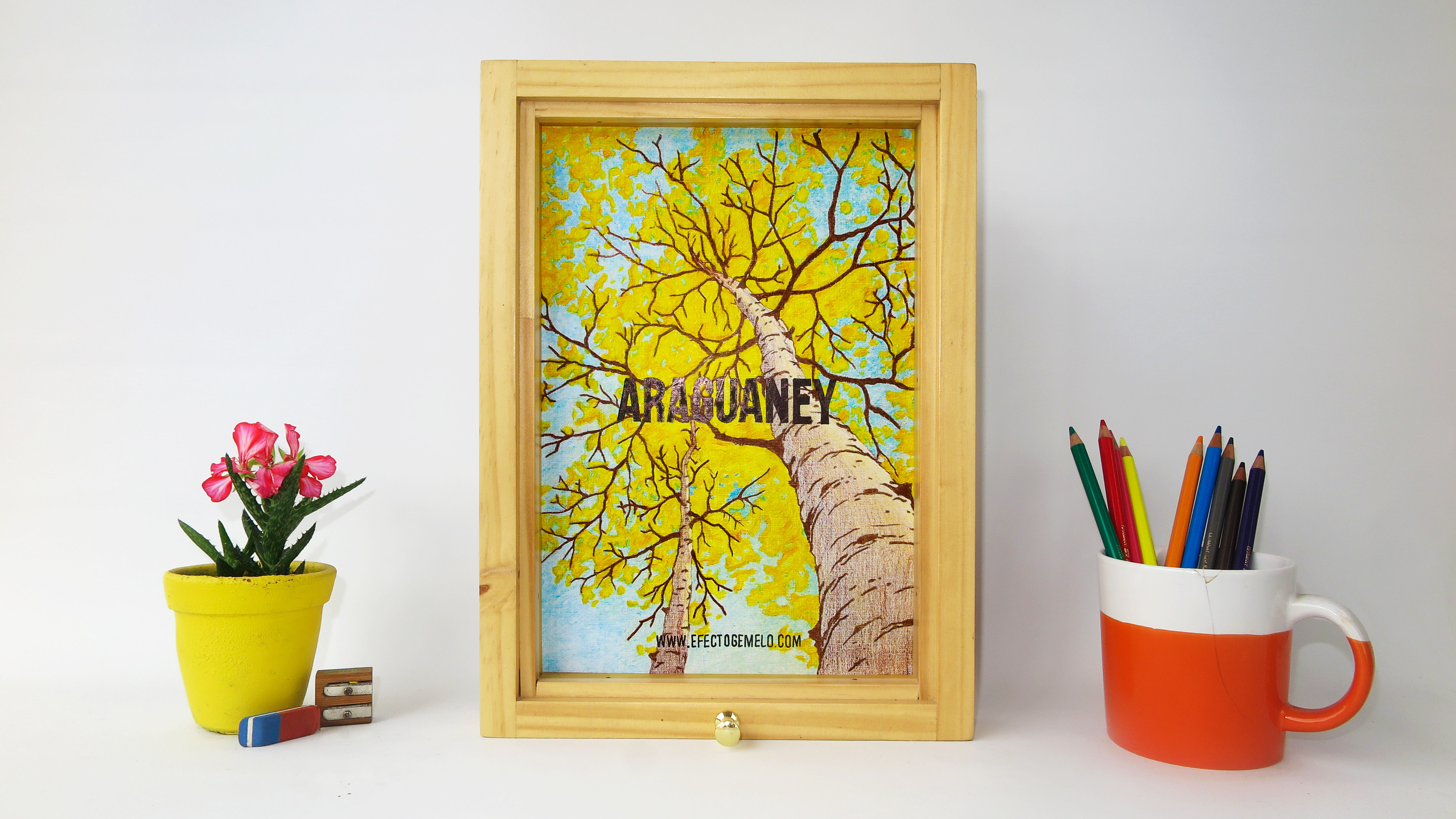 "Araguaney" - Colores