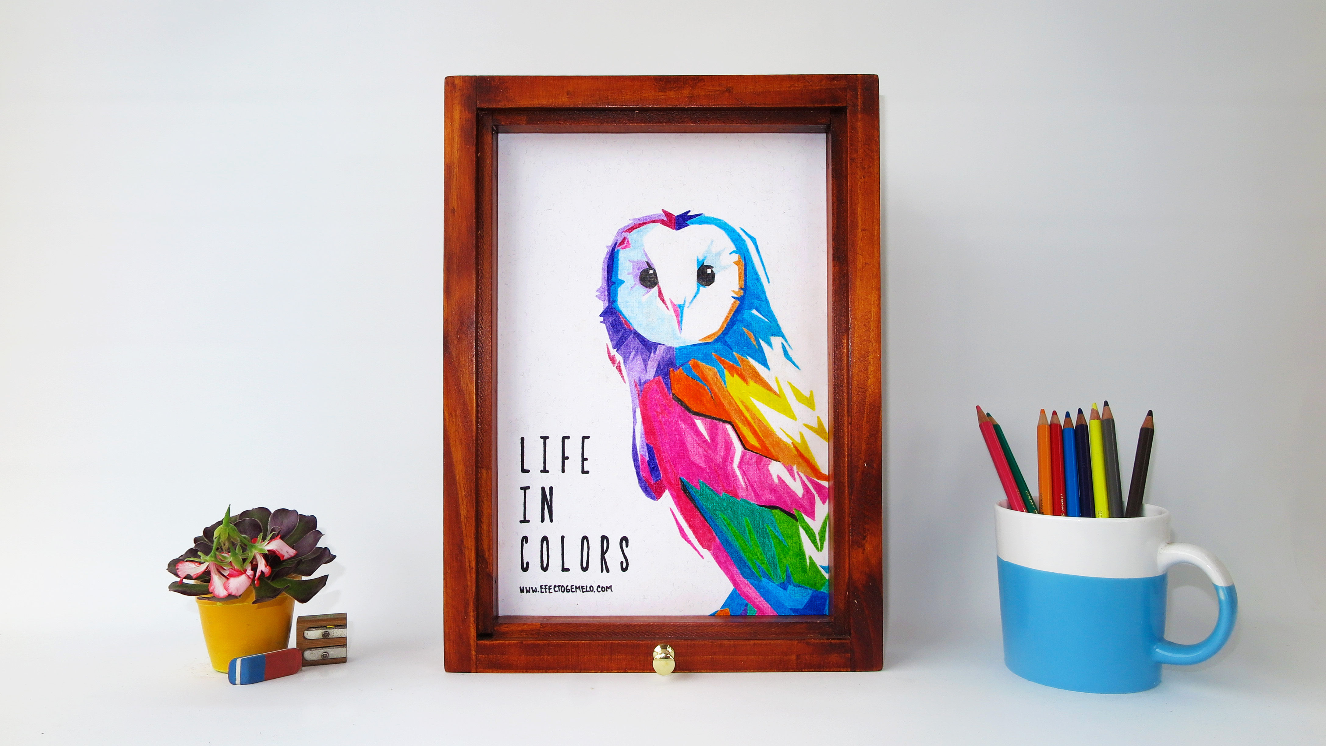 "Life in Colors" - Colores