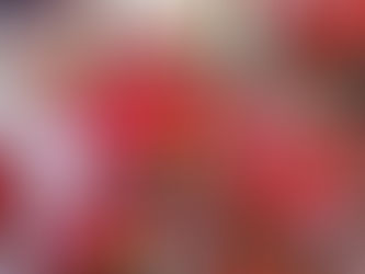 Ato contra reforma une trabalhadores e estudantes, nesta sexta (12), em Brasília