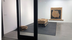 GLACIAL DECOY AND OLYMPIA 