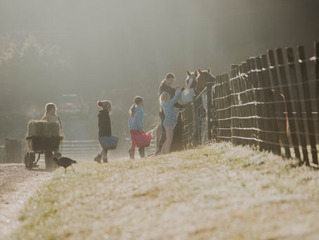 What is an "ethical" riding school?