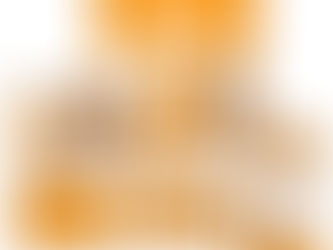 ⑫「ニセモノ」の国内流通を防ぐ