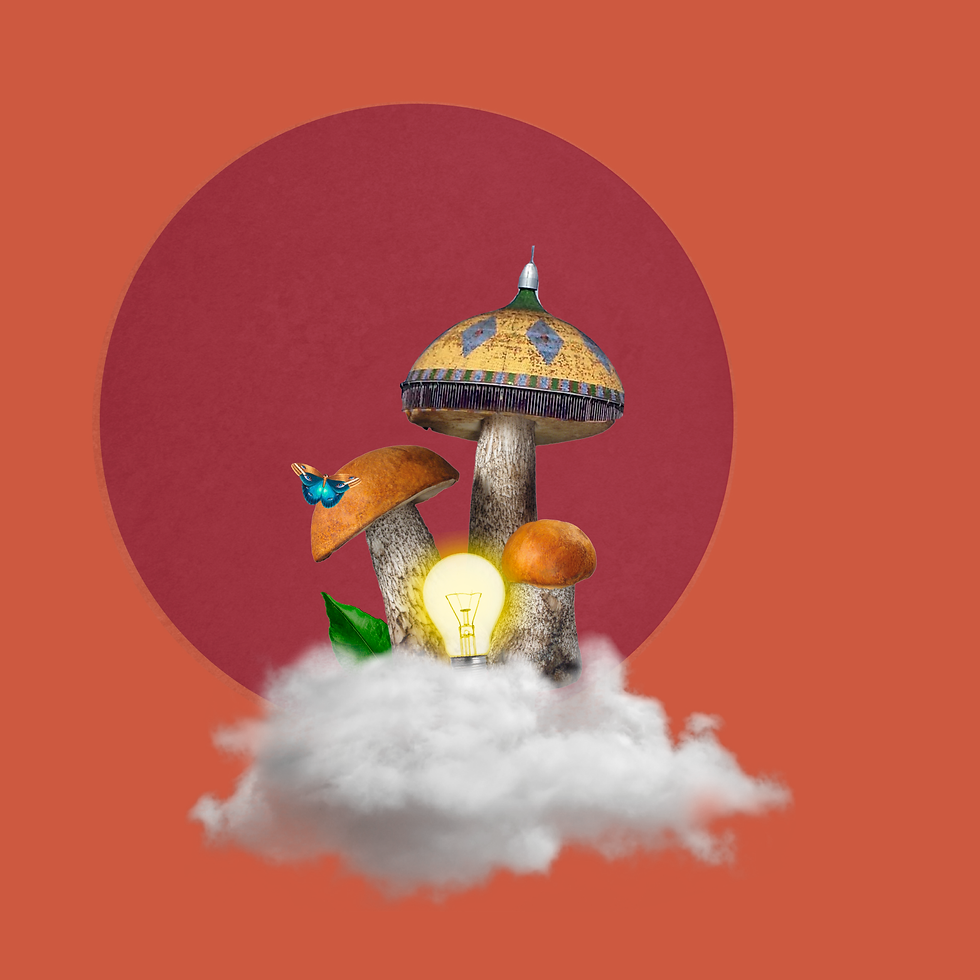 Fazer brotar a cidade