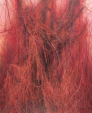 Landscape, 161x131cm, Oil on Canvas2004