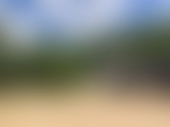 グリーンパーク熊取 月例会・ブルーベリー狩りのお知らせ