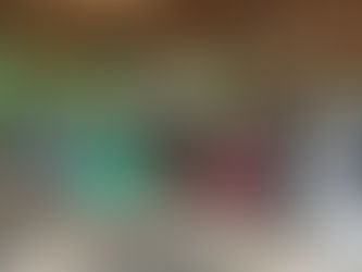 雨山川の川たんけん