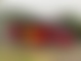 植物園研修バスツアー