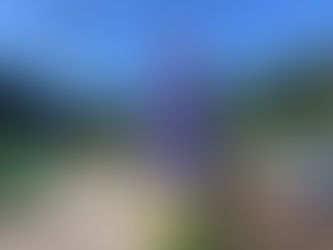 ブルーベリー狩り 和田山 Berry Park