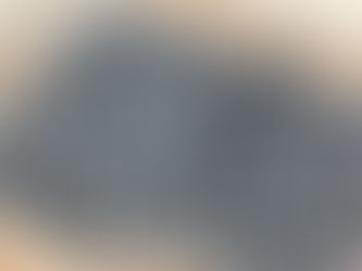 ブルーベリー第3農園とポステング