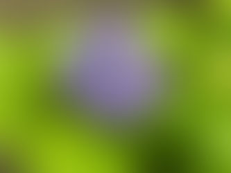 議員全員協議会