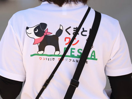 くまとりワンFESTA