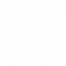 לוגו וידאו.gif
