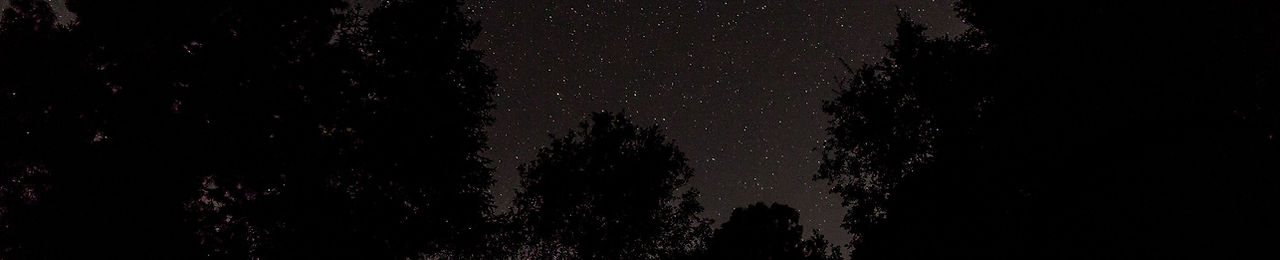 Night Sky
