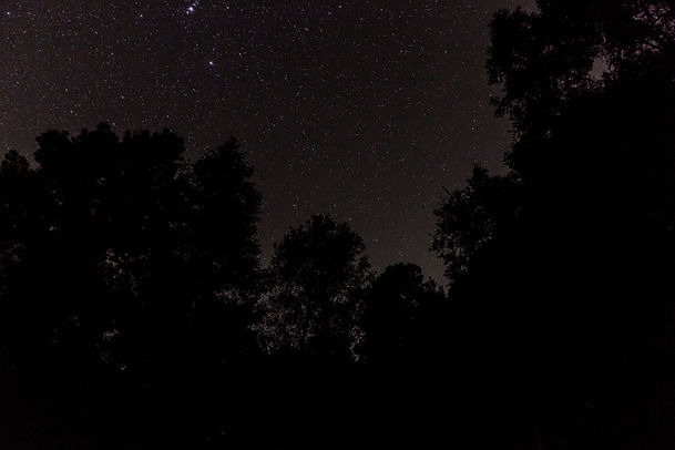 Cielo nocturno