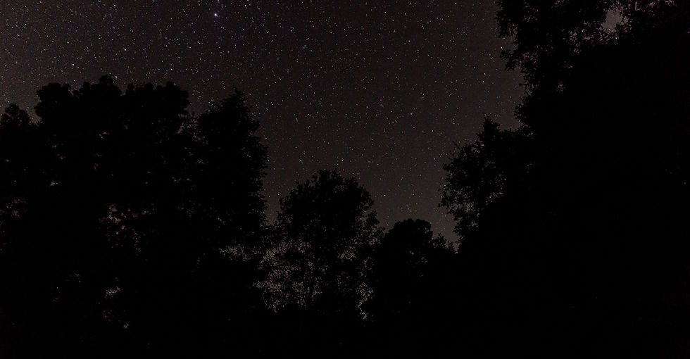 Night Sky