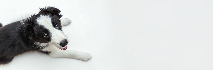AdobeStock_285995902.jpeg