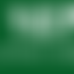 Tax Planning Services