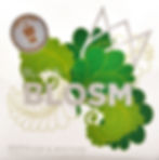 Thumbnail: BLOSM Gin Maribelle 50cl houten giftbox