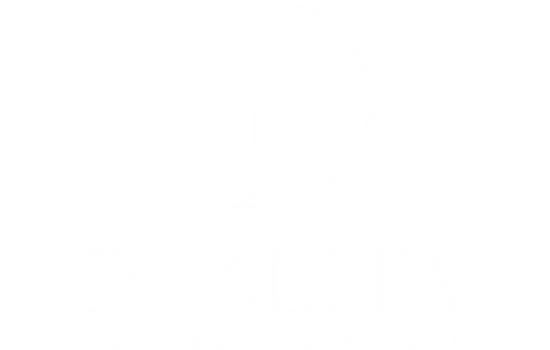 Dualita Logo
