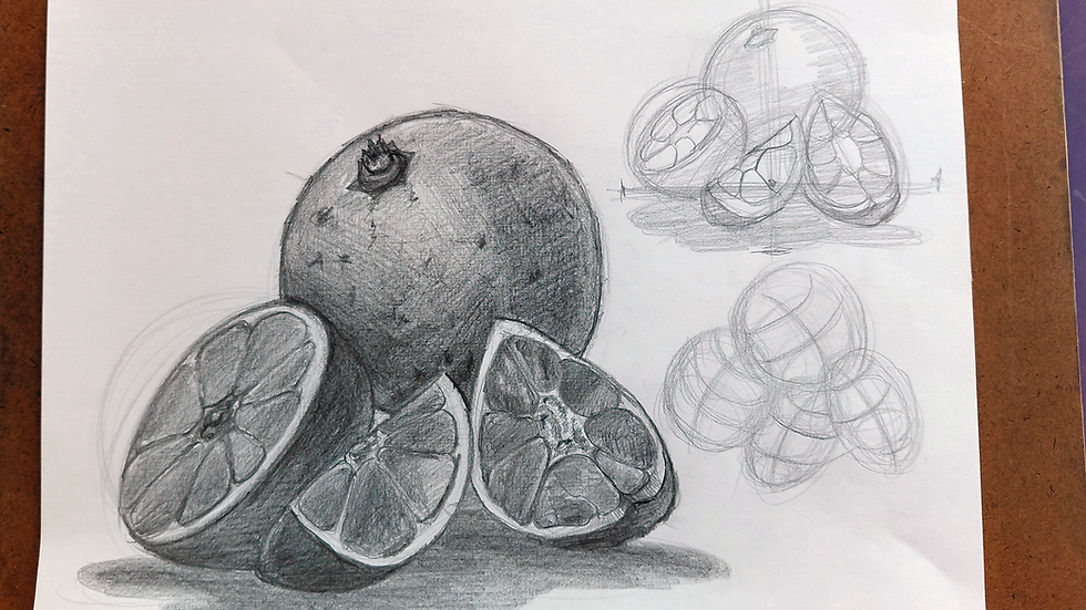 Acabamento do Desenho: Exercício Prático para Finalizar um Estudo Completo com Construção, Proporção, Luz e Sombra.