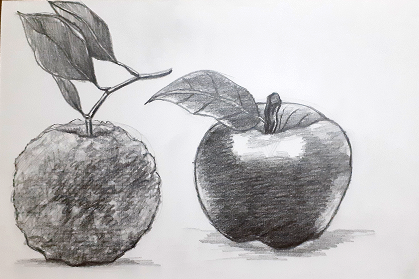 Acabamento do Desenho: Exercício Prático para Finalizar um Estudo Completo com Construção, Proporção, Luz e Sombra.