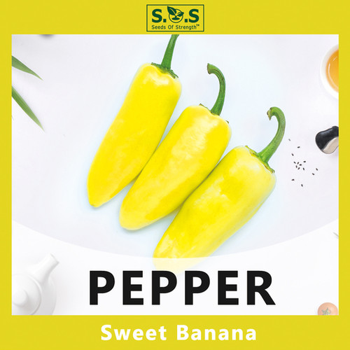 Pepper Sweet Banana Seeds Seeds Of Strength
