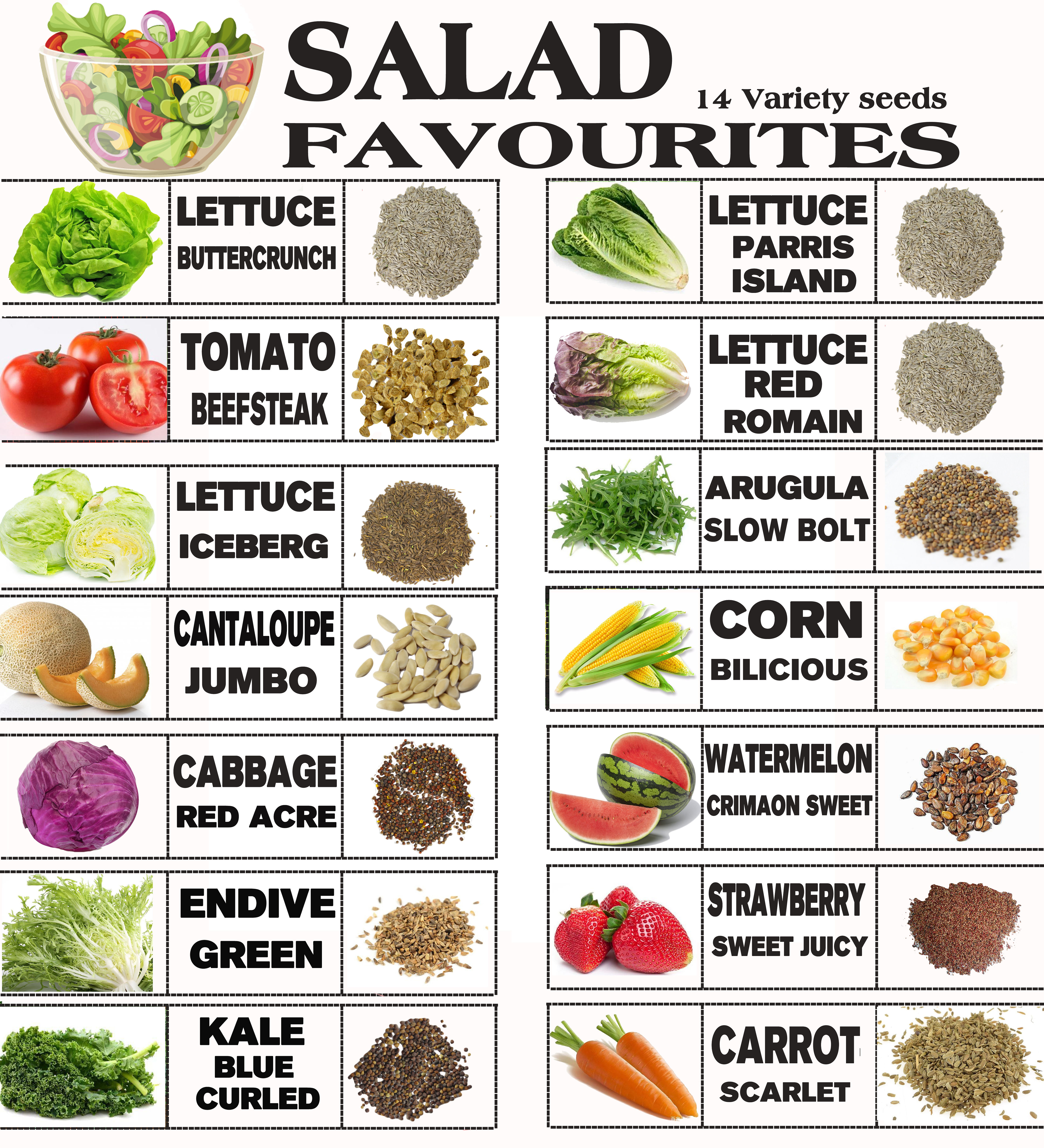 Mix Salad Leaf Garden Organic Seed Kit