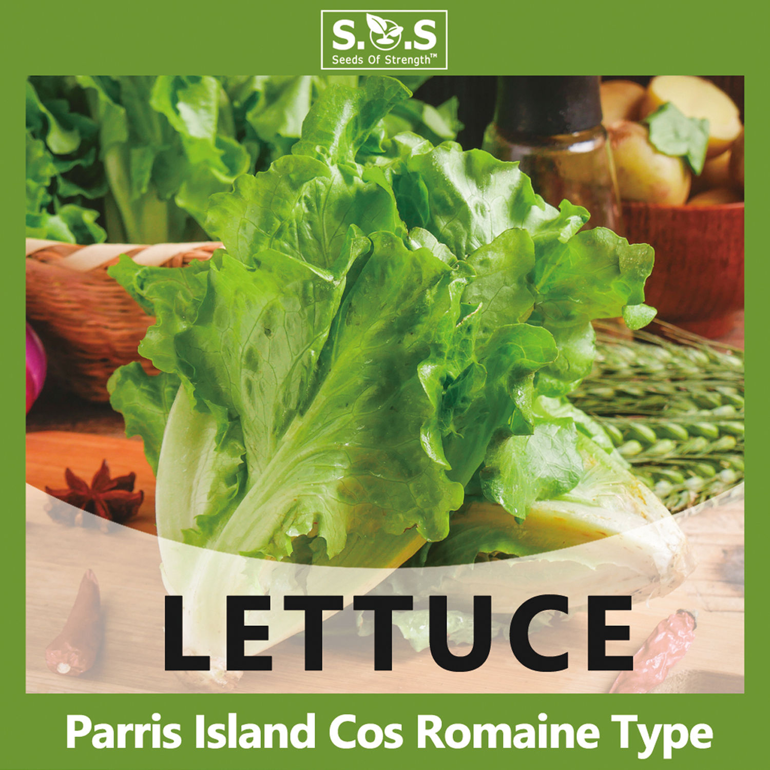 Parris Island Cos Romaine Type Lettuce Seeds