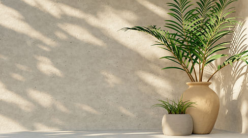 Rendered wall with a decorative plant pot in Spain