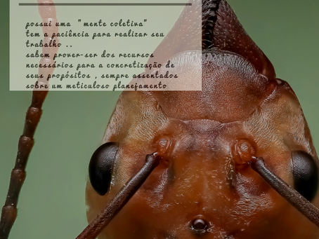 Você sabe onde quer chegar?