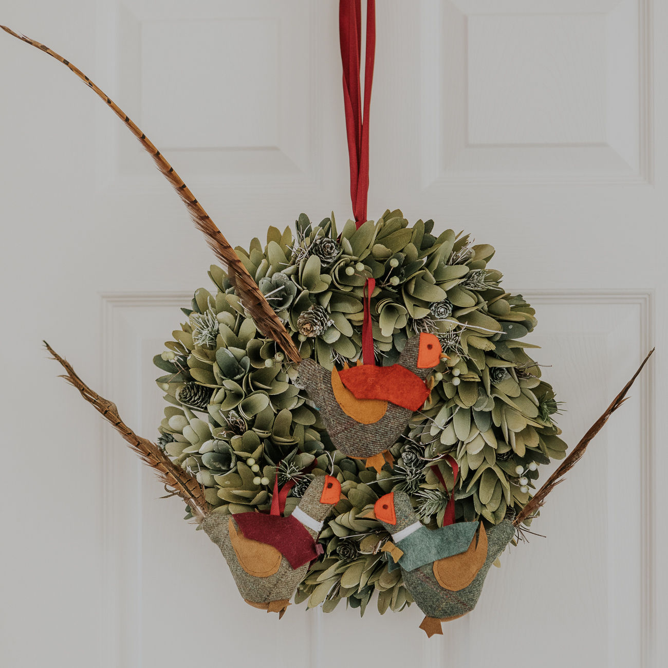 Brace of Phabulous Pheasants!