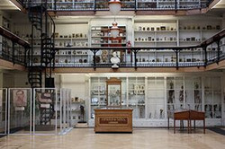 BART'S PATH LAB