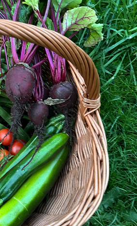 Vegetable basket_edited.png