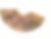 Tongcheng college music school coffeefilterillustsration .JPG