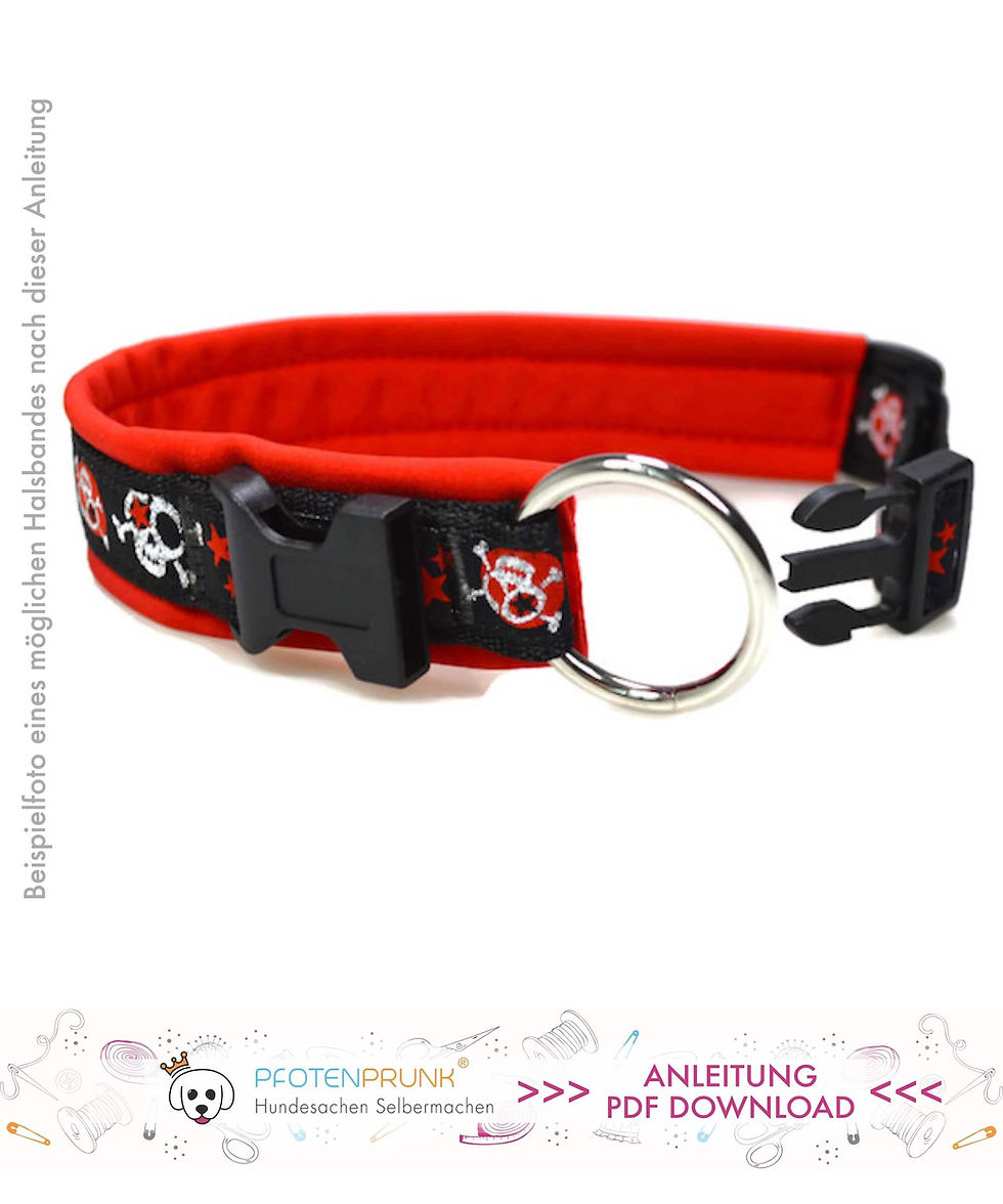 Miniaturbild: DIY Halsband mit zugentlasteter Schnalle Anleitung PDF Download Datei