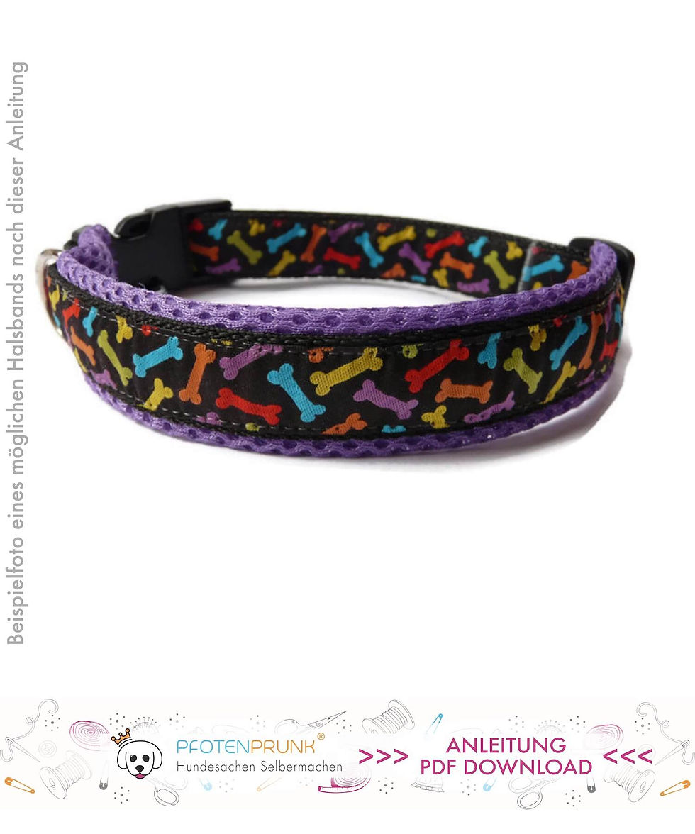 Miniaturbild: DIY Halsband Anleitung PDF Download Datei