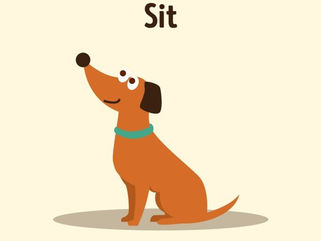 你是一只老狗还是小狗? Are you an old or young dog?