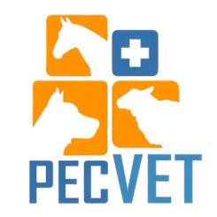 PSX_20230228_111016-removebg-preview_edited_edited_edited_edited_edited.png
