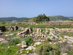 20220309_103156.jpg