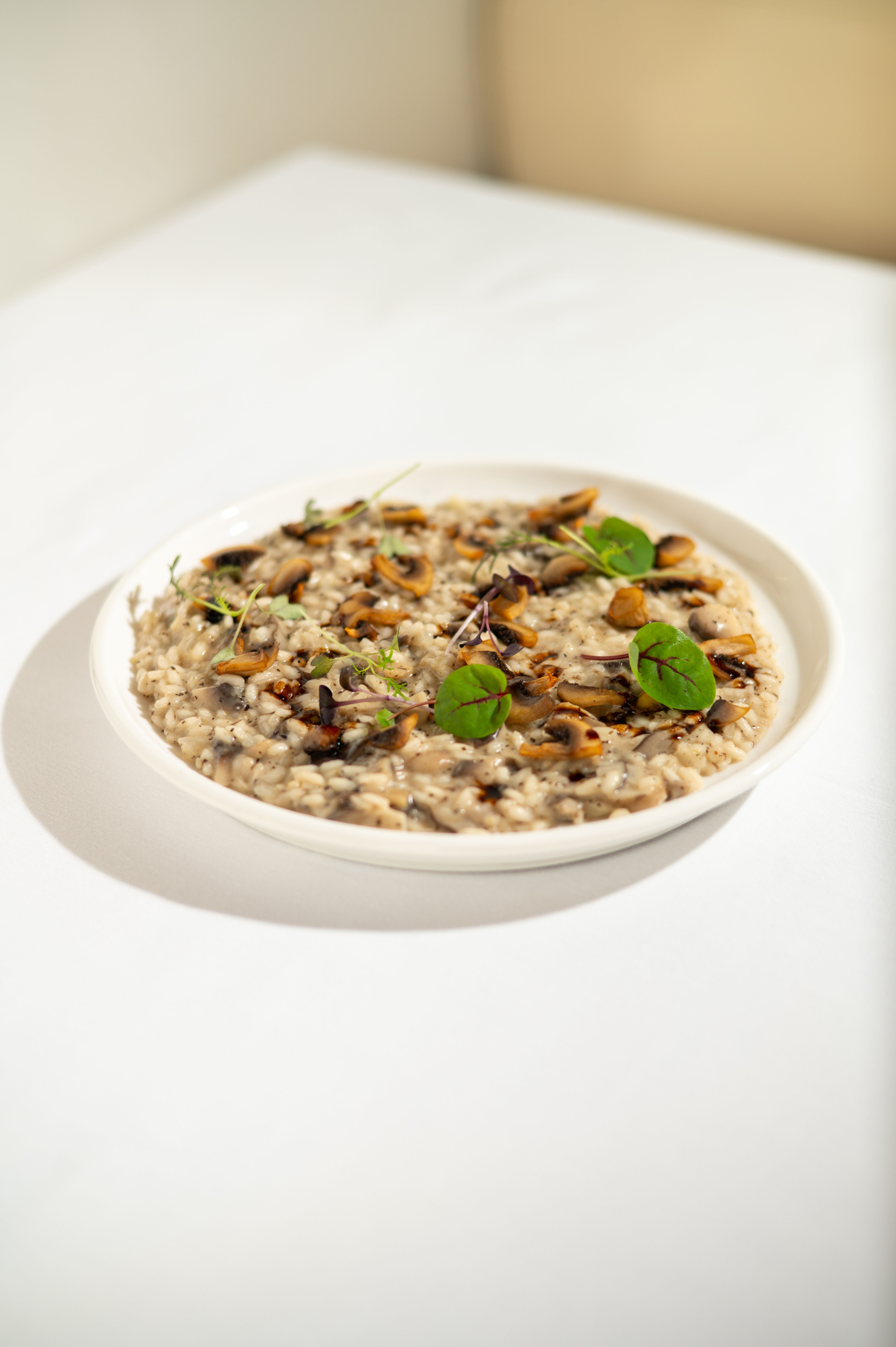 Risotto with mushroom and truffle